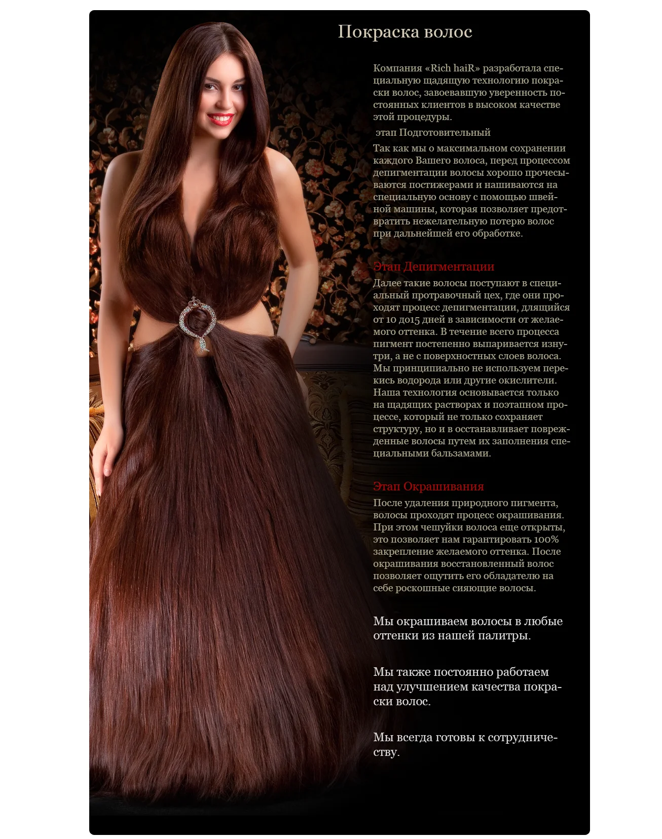 Создание интернет-магазина волос «Rich&nbsp;Hair» - Услуги (2)